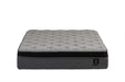 LAUREN PLUSH TWIN - FAMSA Furniture (TX)