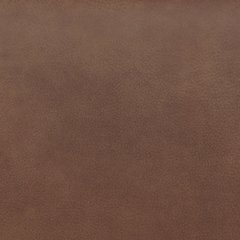 Status Check Recliner - FAMSA Furniture (TX)