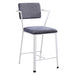 Counter Height Chair (Set-2)