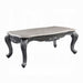 Ariadne Coffee Table - FAMSA Furniture (TX)
