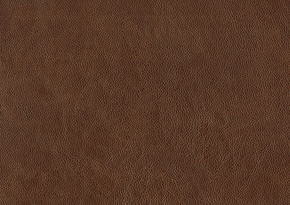 Braintree Accent Chair in Brown - 9278-3601 - FAMSA Furniture (TX)