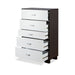 Chest - Image 4