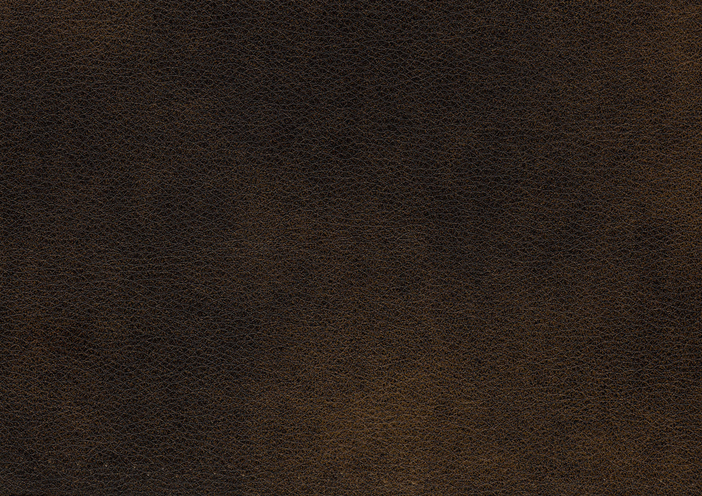 Croydon Sofa in Brown - 9815-3* - FAMSA Furniture (TX)