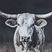 Harlandale Wall Art - FAMSA Furniture (TX)