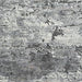 Wadyka 7'10" x 10'3" Rug - FAMSA Furniture (TX)