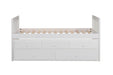 Galen (2) Twin/Twin Trundle Bed in White - B2053PRW-1* - FAMSA Furniture (TX)