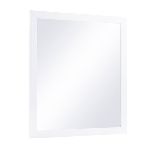 B2053W-6N Mirror, Wide image