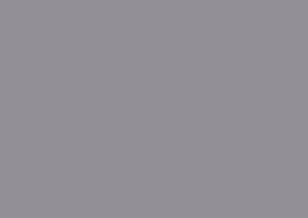 Orion Twin Trundle in Gray - B2063-R - FAMSA Furniture (TX)