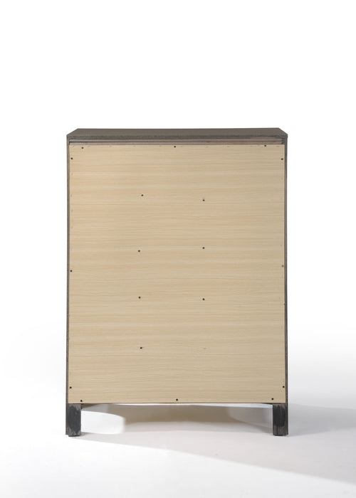 Carine II Chest - Image 5