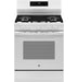 GE® 30" Free-Standing Gas Convection Range with No Preheat Air Fry and EasyWash™ Oven Tray GGF600AVWW - FAMSA Furniture (TX)
