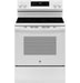 GE ENERGY STAR 30" Free-Standing Electric Convection Range with No Preheat Air Fry and EasyWash Oven Tray GRF600AVWW - FAMSA Furniture (TX)