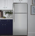 GE® 16.6 Cu. Ft. Top-Freezer Refrigerator GTS17GSNRSS - FAMSA Furniture (TX)