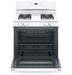 GE® 30" Free-Standing Gas Range JGBS60DEKWW - FAMSA Furniture (TX)