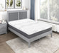 MT-UNH12Q 12" Queen Green Tea Gel-Infused Memory Foam Hybrid Mattress image