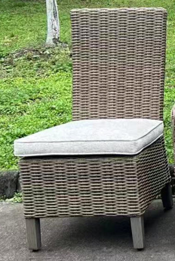 Laguna Heights Side Chair with Cushion (Set of 2) - FAMSA Furniture (TX)