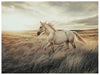 Errolville Wall Art - FAMSA Furniture (TX)
