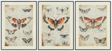 Jossletts Wall Art (Set of 3) - FAMSA Furniture (TX)