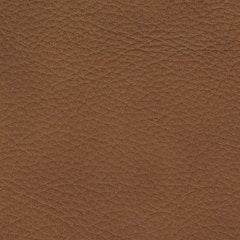 Magic Man 5-Piece Power Reclining Sectional - FAMSA Furniture (TX)