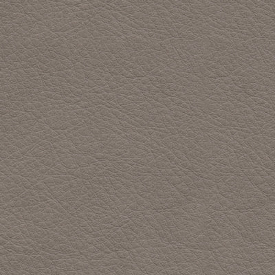 5Z-Comfort Power Reclining Sofa - FAMSA Furniture (TX)