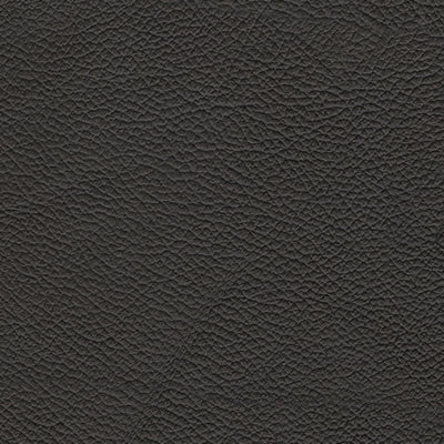 5Z-Comfort Power Reclining Sofa - FAMSA Furniture (TX)