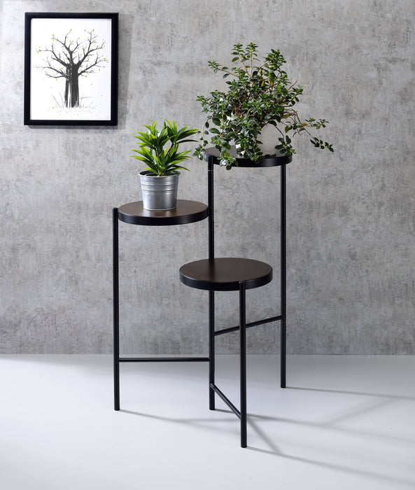 Namid Plant Stand - Image 10