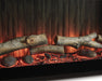 Entertainment Accessories Fireplace Insert - FAMSA Furniture (TX)