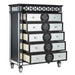 Varian II Chest - Image 4