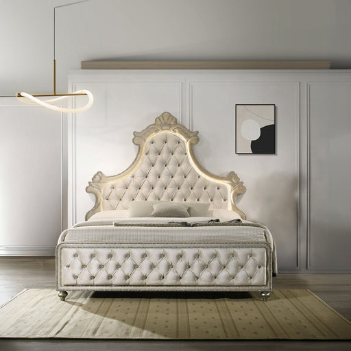 Lucienne Queen Bed w/LED