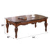 Dreena Coffee Table - Image 6