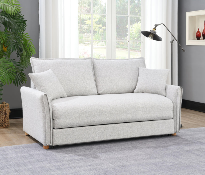 Oran Sofa w/Sleeper, Storage & 2 Pillows - Image 21