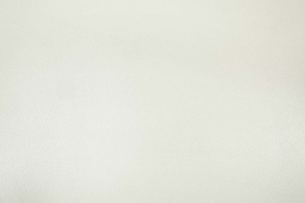 Adara Loveseat w/5 Pillows - Image 4