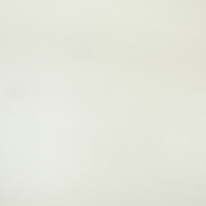 Adara Chair w/2 Pillows - Image 6