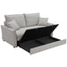 Oran Sofa w/Sleeper, Storage & 2 Pillows - Image 4