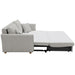 Oran Sofa w/Sleeper, Storage & 2 Pillows - Image 8