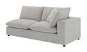 Marisa Modular RF Loveseat w/2 Pillows - Image 15