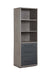 Estevon Bookcase